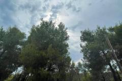 εικόνα_Viber_2023-09-19_12-17-39-639