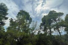 εικόνα_Viber_2023-09-19_12-17-39-944