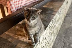 εικόνα_Viber_2023-09-19_12-25-49-487
