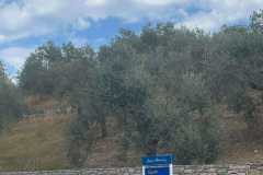 εικόνα_Viber_2023-09-19_12-25-50-958