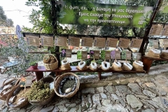 εικόνα_Viber_2023-09-26_16-49-14-224