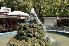 εικόνα_Viber_2023-09-19_11-57-13-183