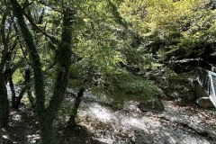 εικόνα_Viber_2023-09-19_11-57-13-236