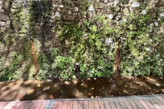 1_εικόνα_Viber_2023-09-19_11-57-39-131